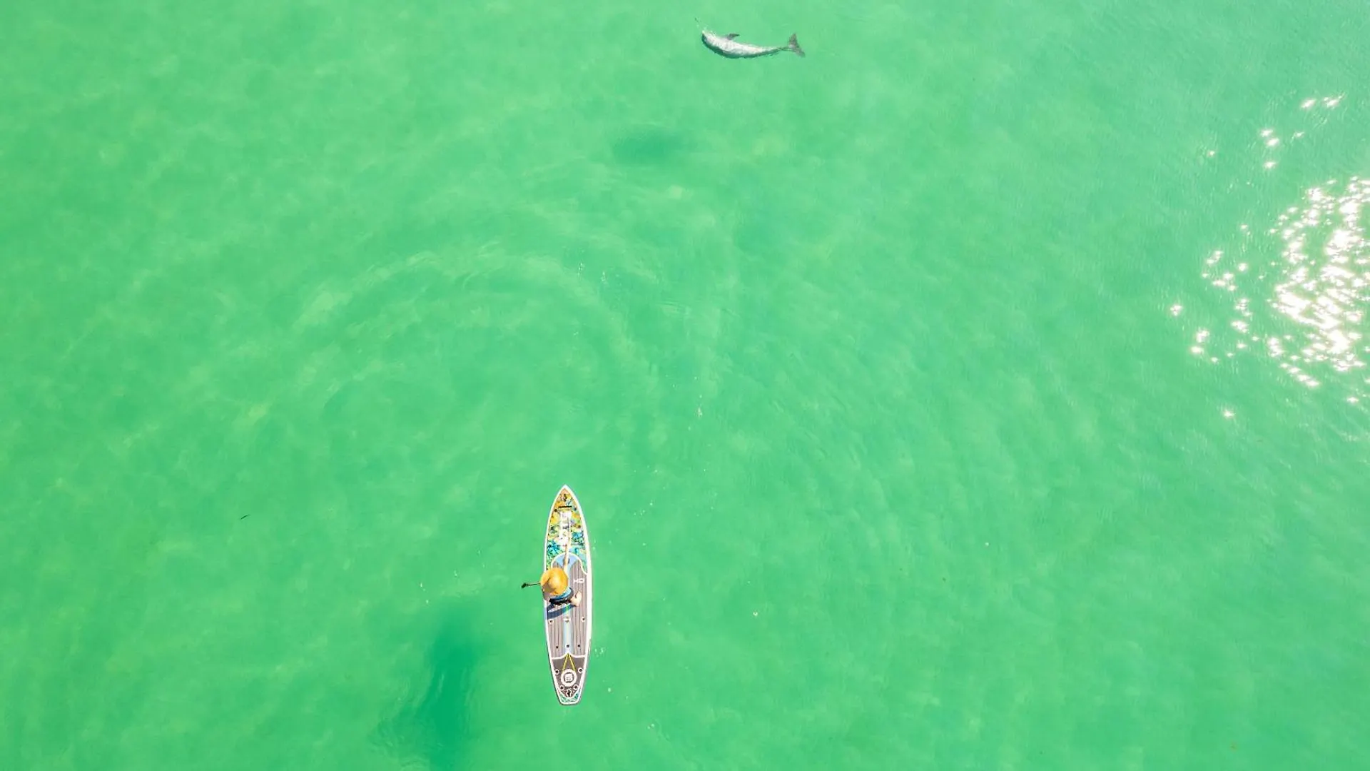Apartment Sandpiper Cove 2058- By Holiday Isle Properties Destin
