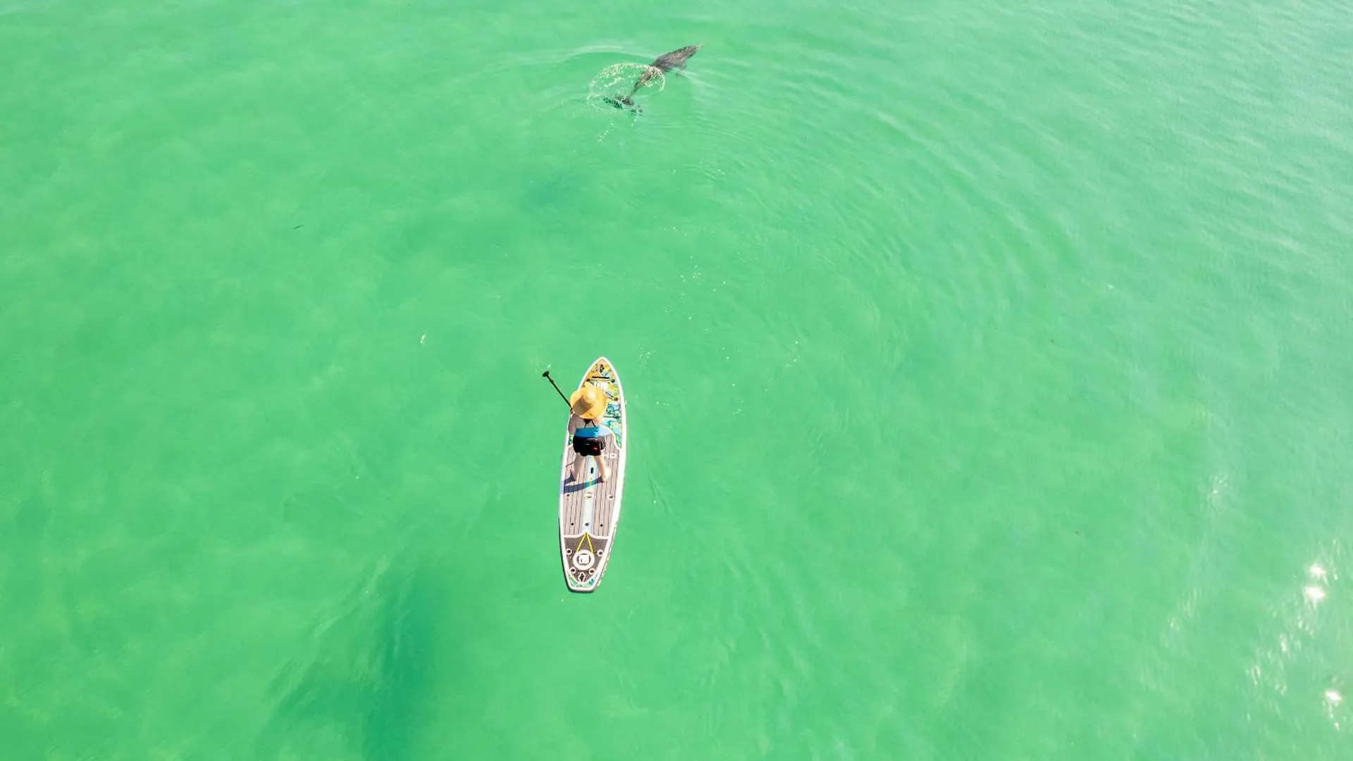 Sandpiper Cove 2058- By Holiday Isle Properties Destin United States
